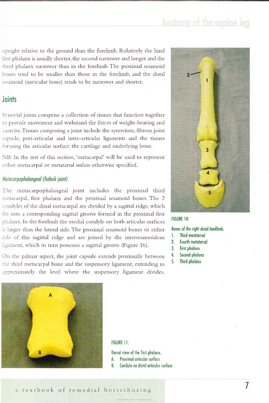 Corrective Farriery A Textbook Of Remedial Horsehoeing Volume 1