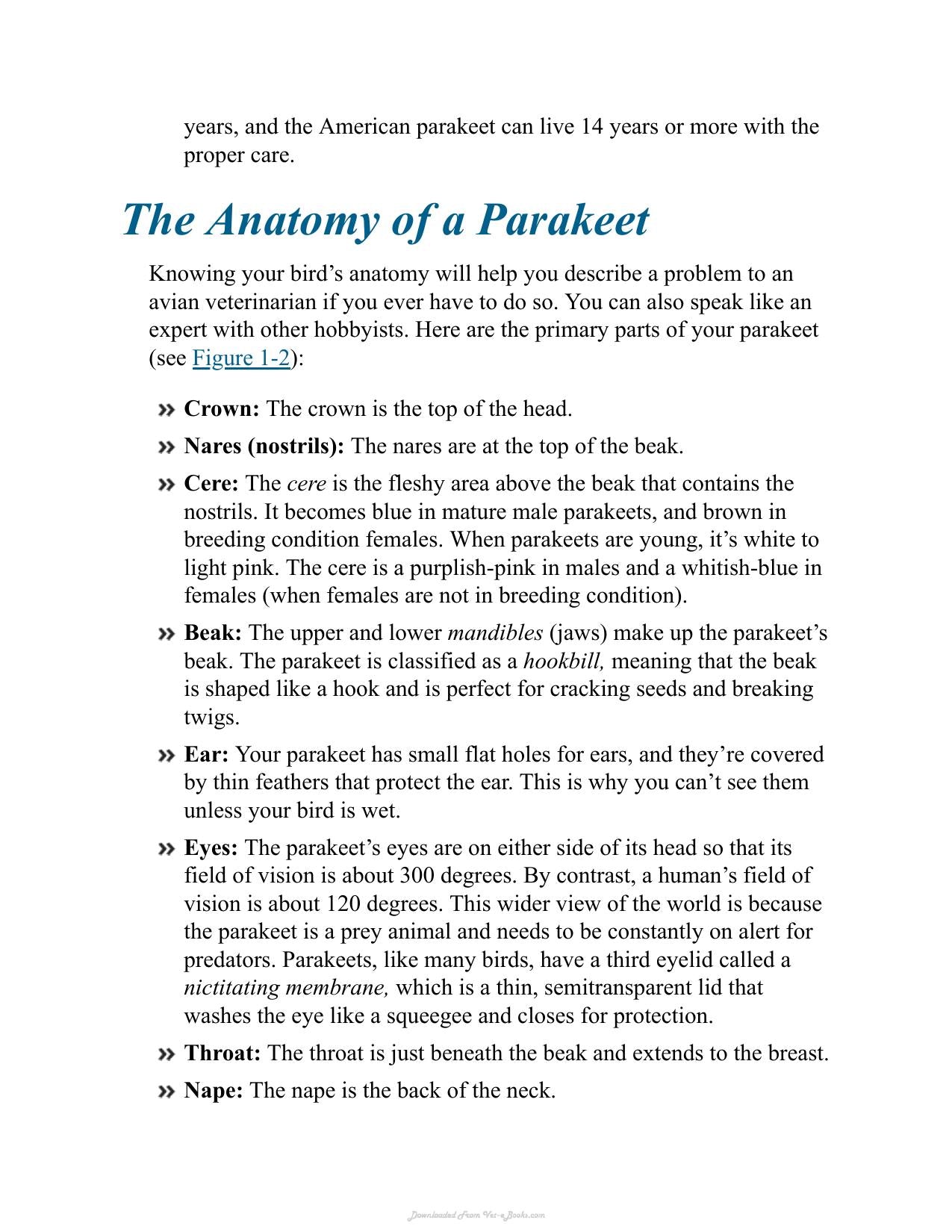 Parakeets For Dummies 2Nd Edition