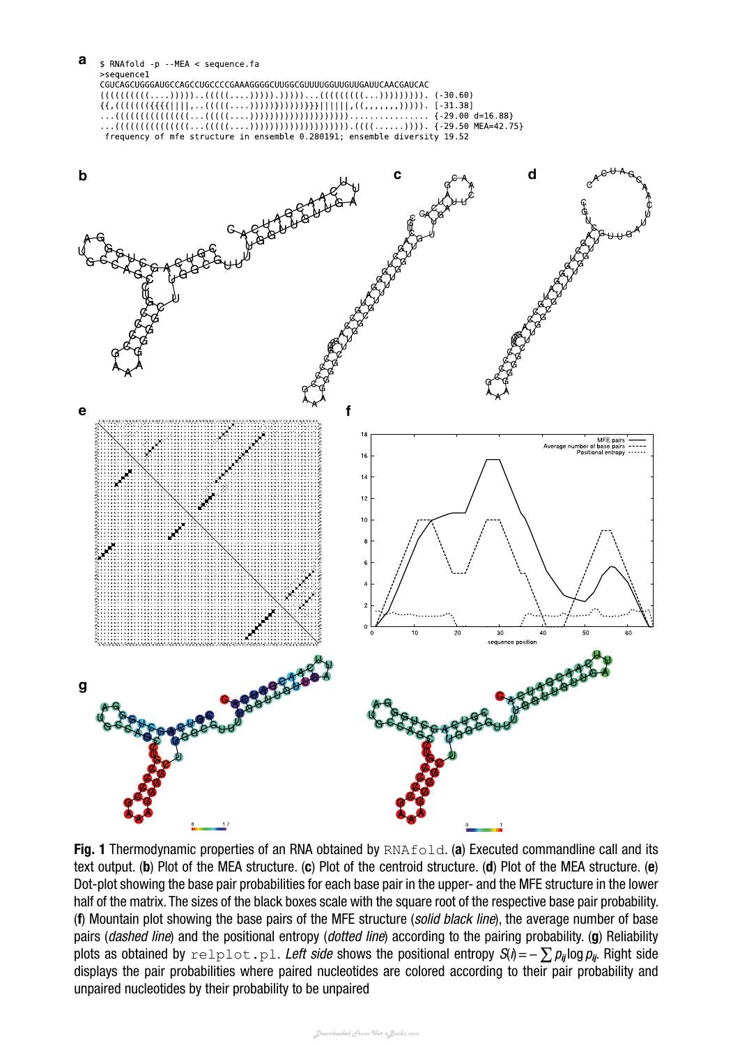 Rna Folding Methods And Protocols