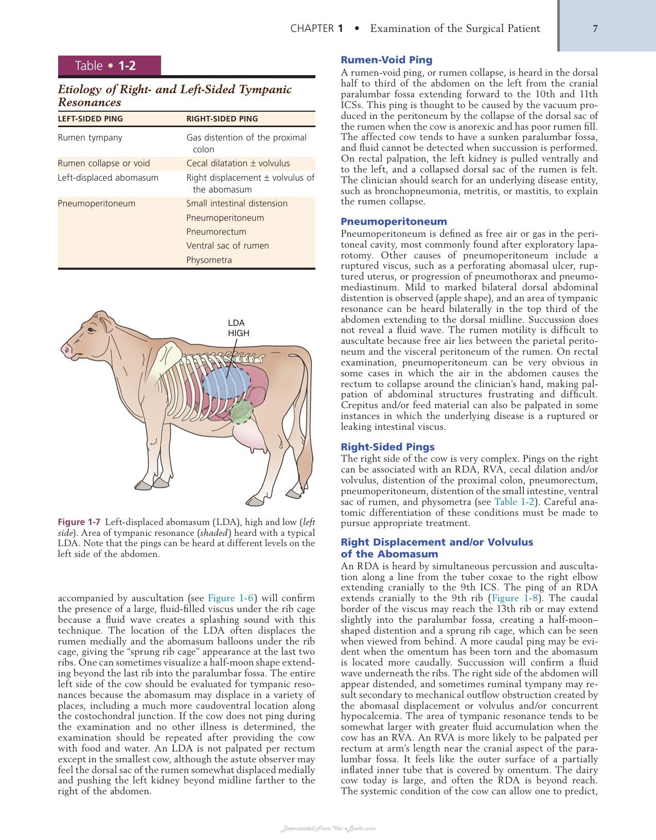 Farm Animal Surgery 2Nd Edition