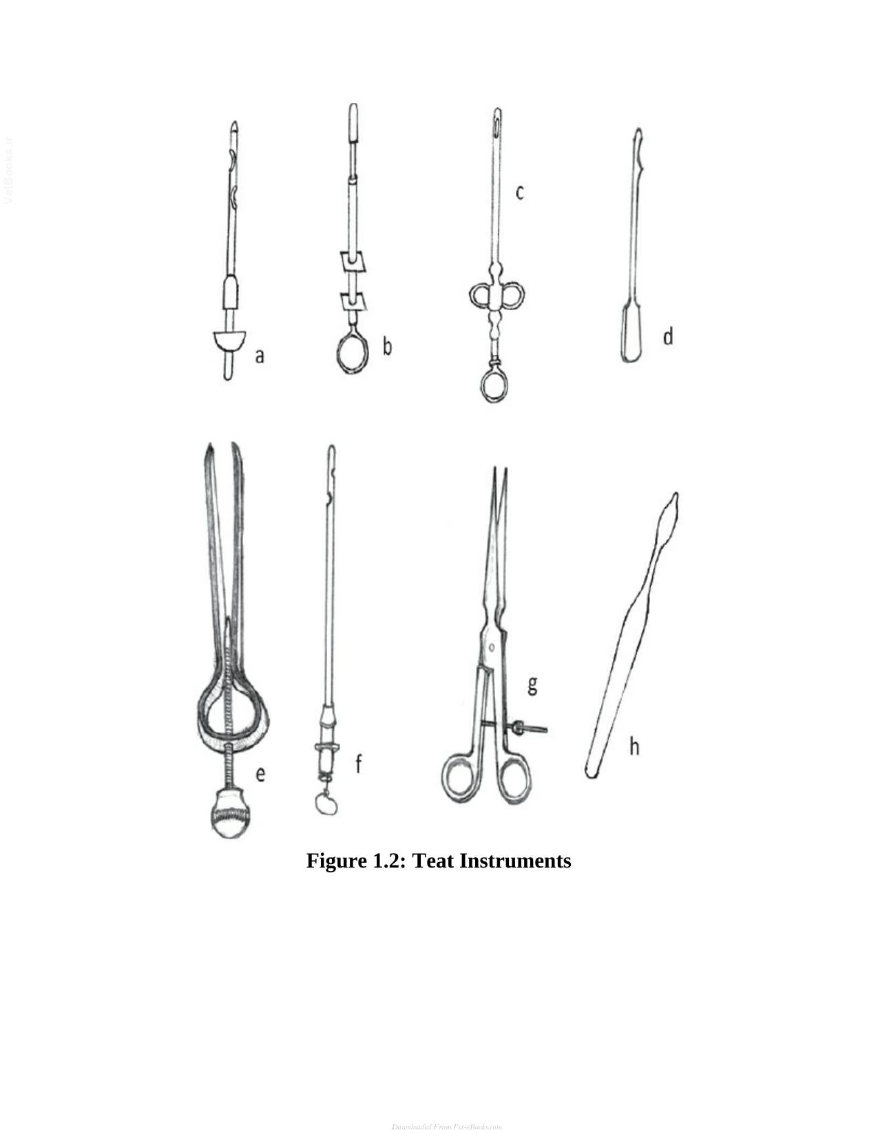 Veterinary Surgery A Practical Guide