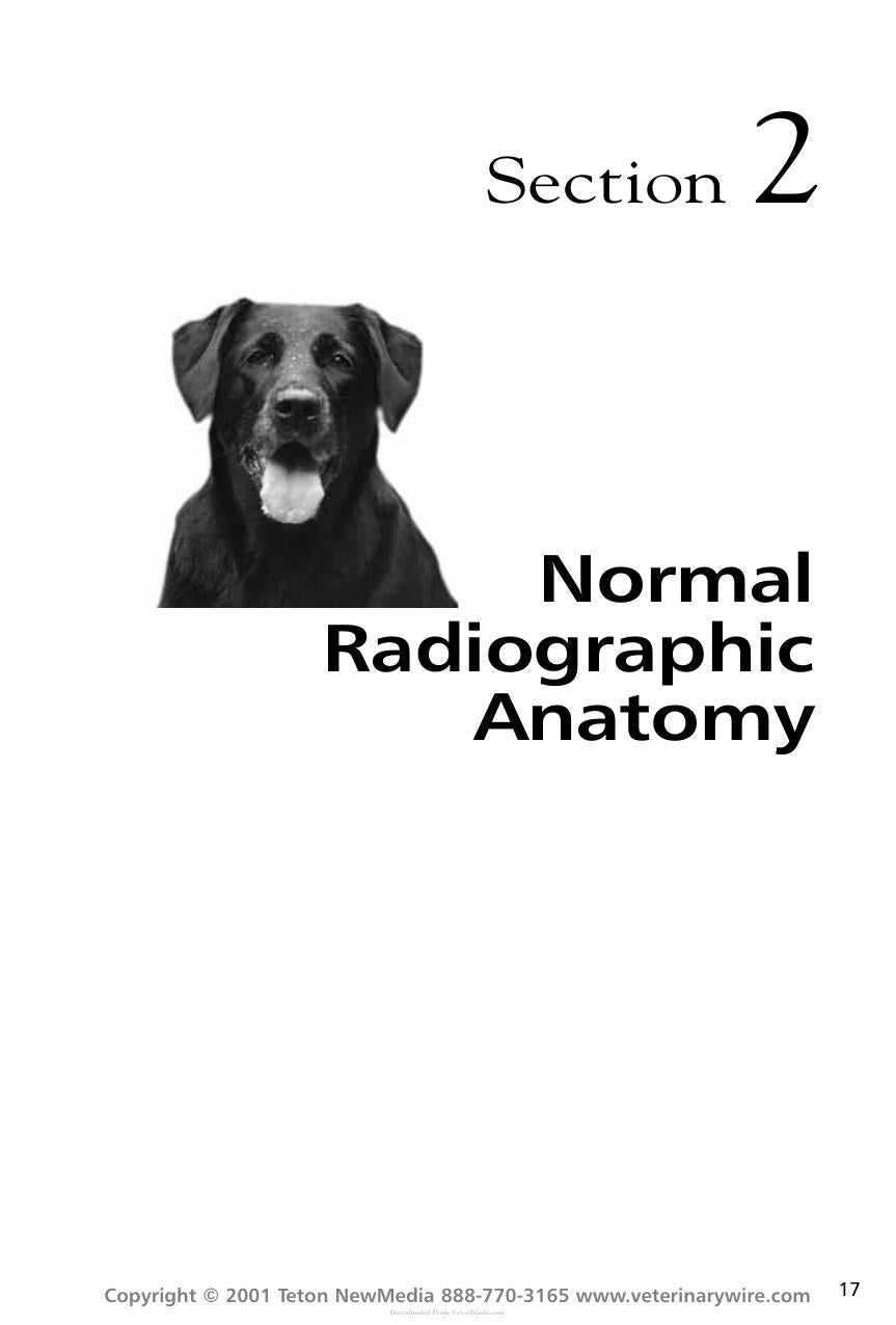 Thoracic Radiology For The Small Animal Practitioner