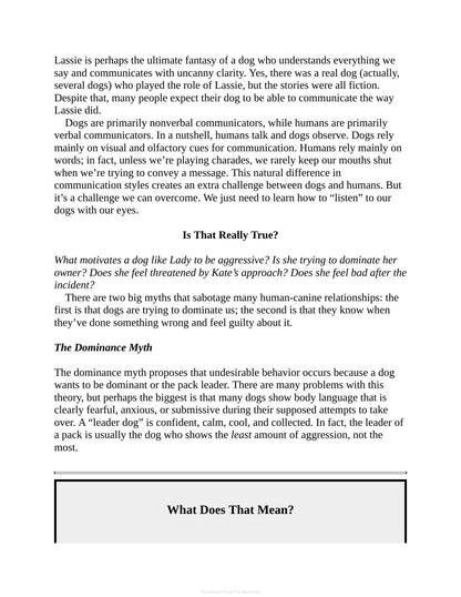 Decoding Your Dog