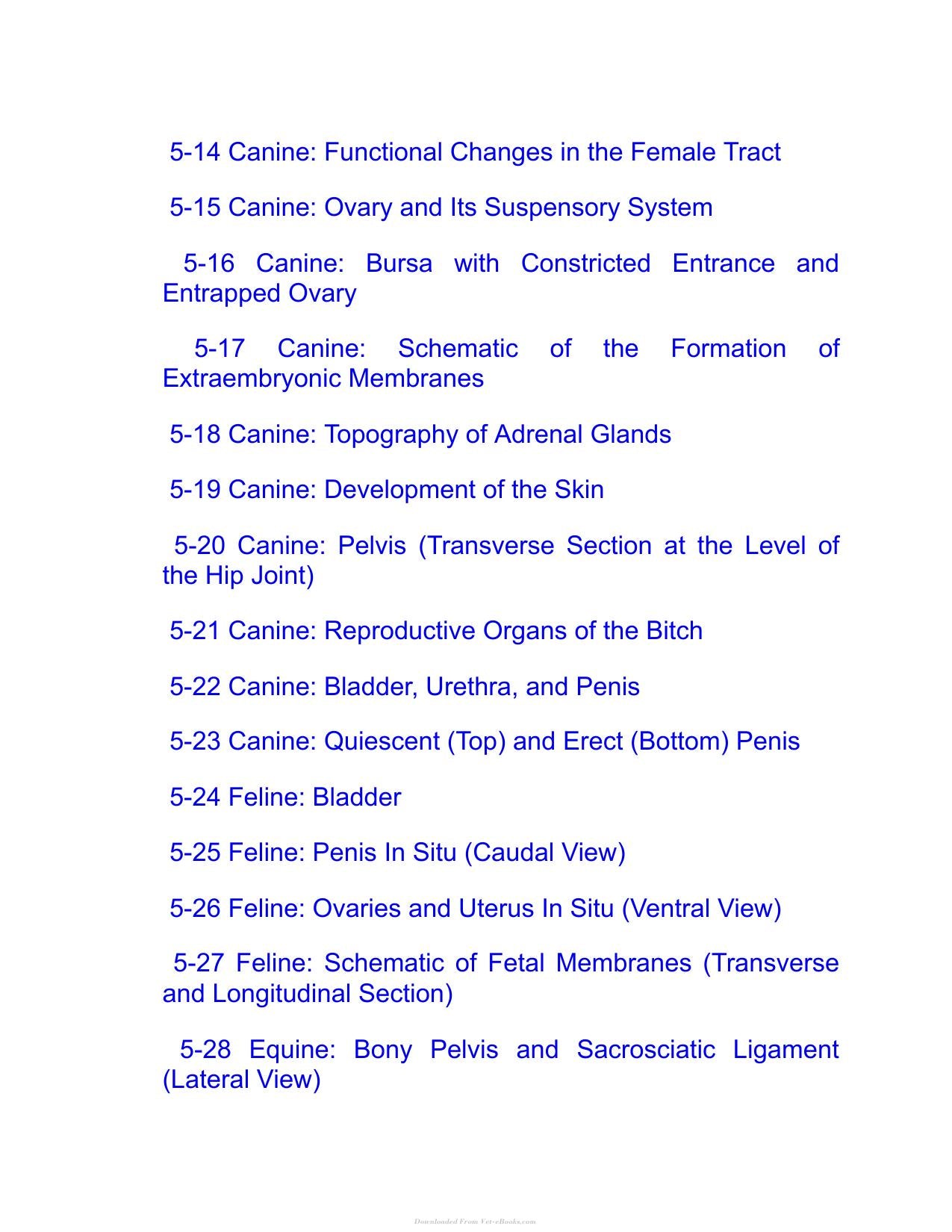 Saunders Veterinary Anatomy Flash Cards 2Nd Edition
