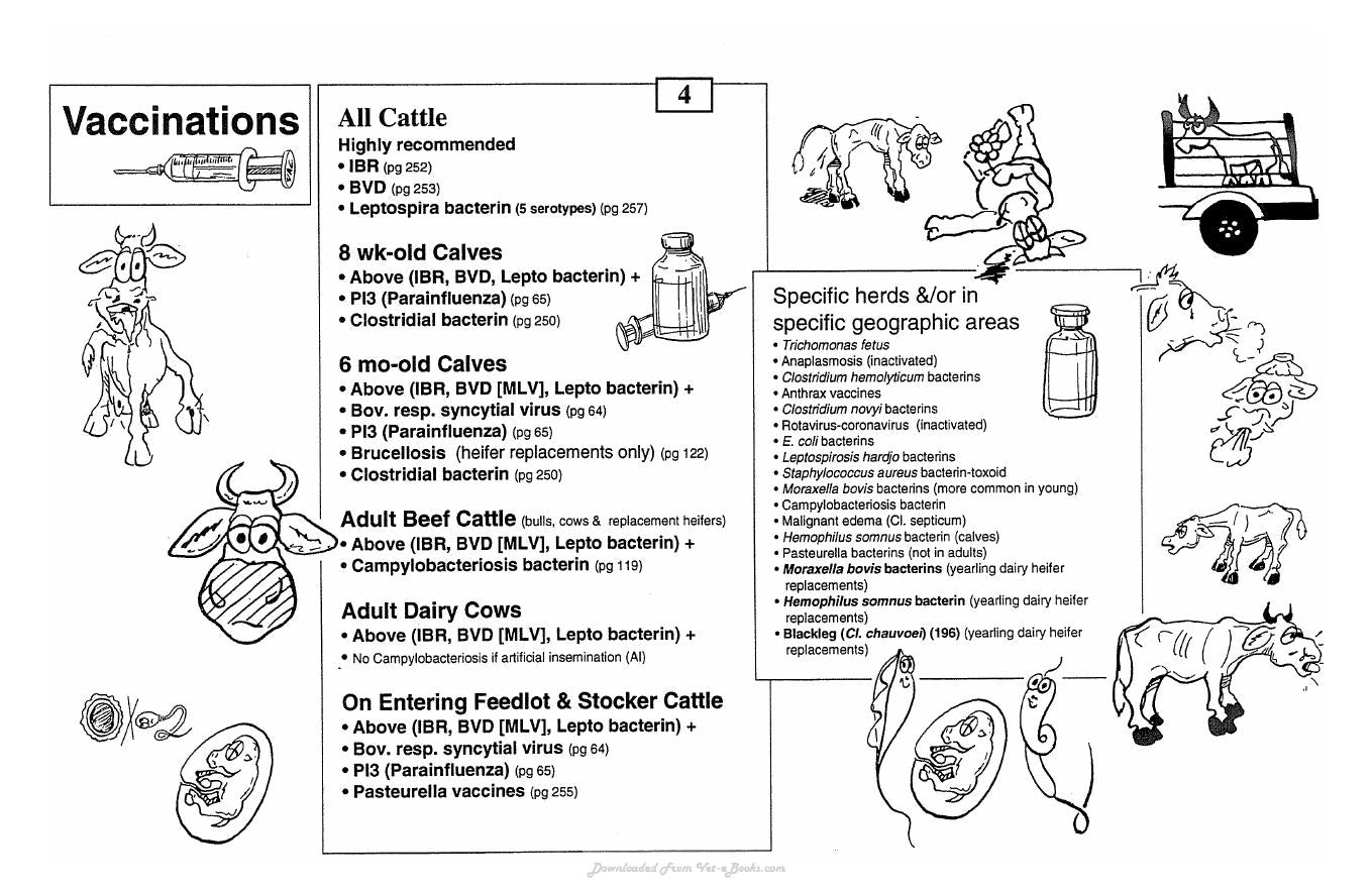 Guide To Bovine Clinics 4Th Edition
