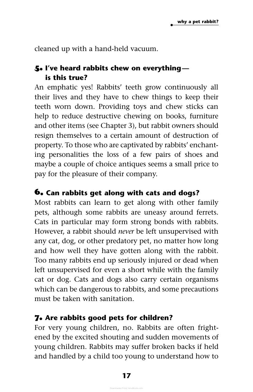 A House Rabbit Primer Understanding And Caring For Your Companion Rabbit