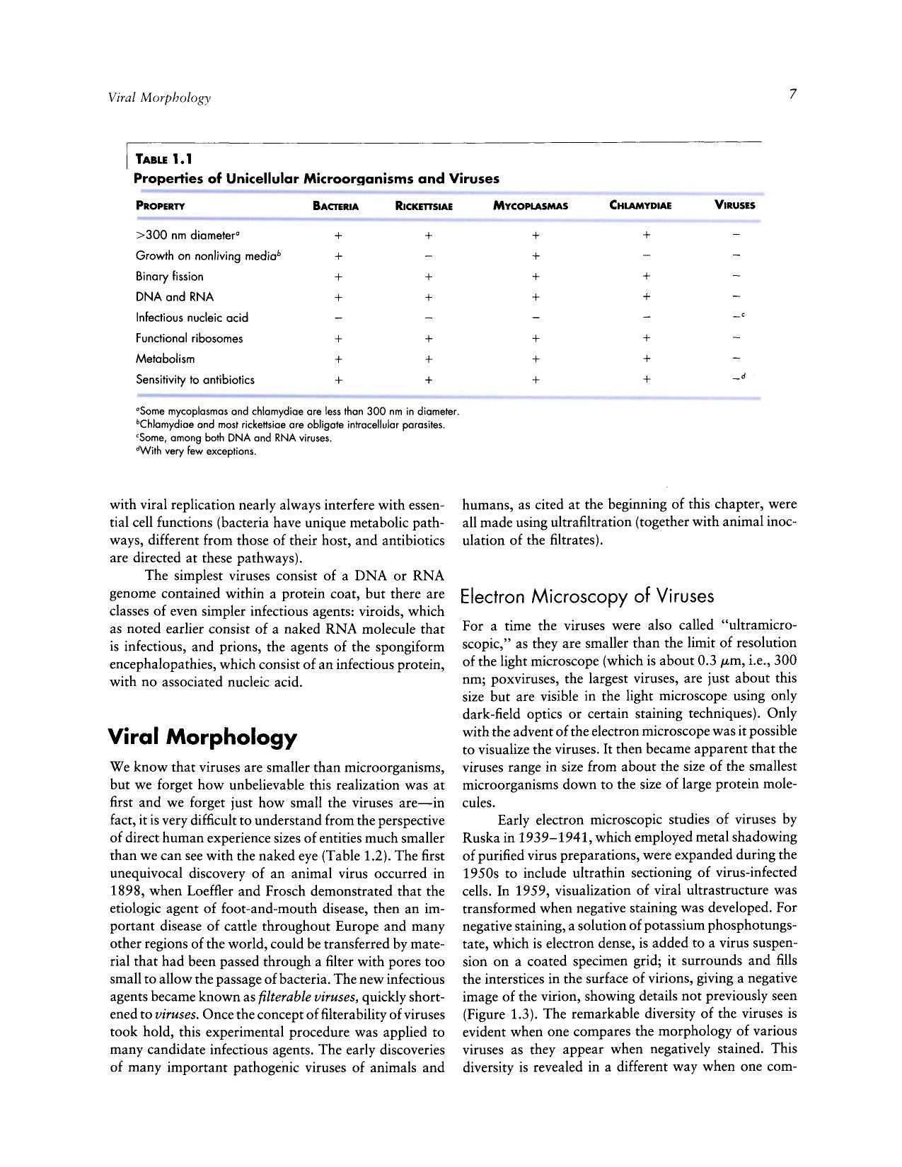 Veterinary Virology 3Rd Edition