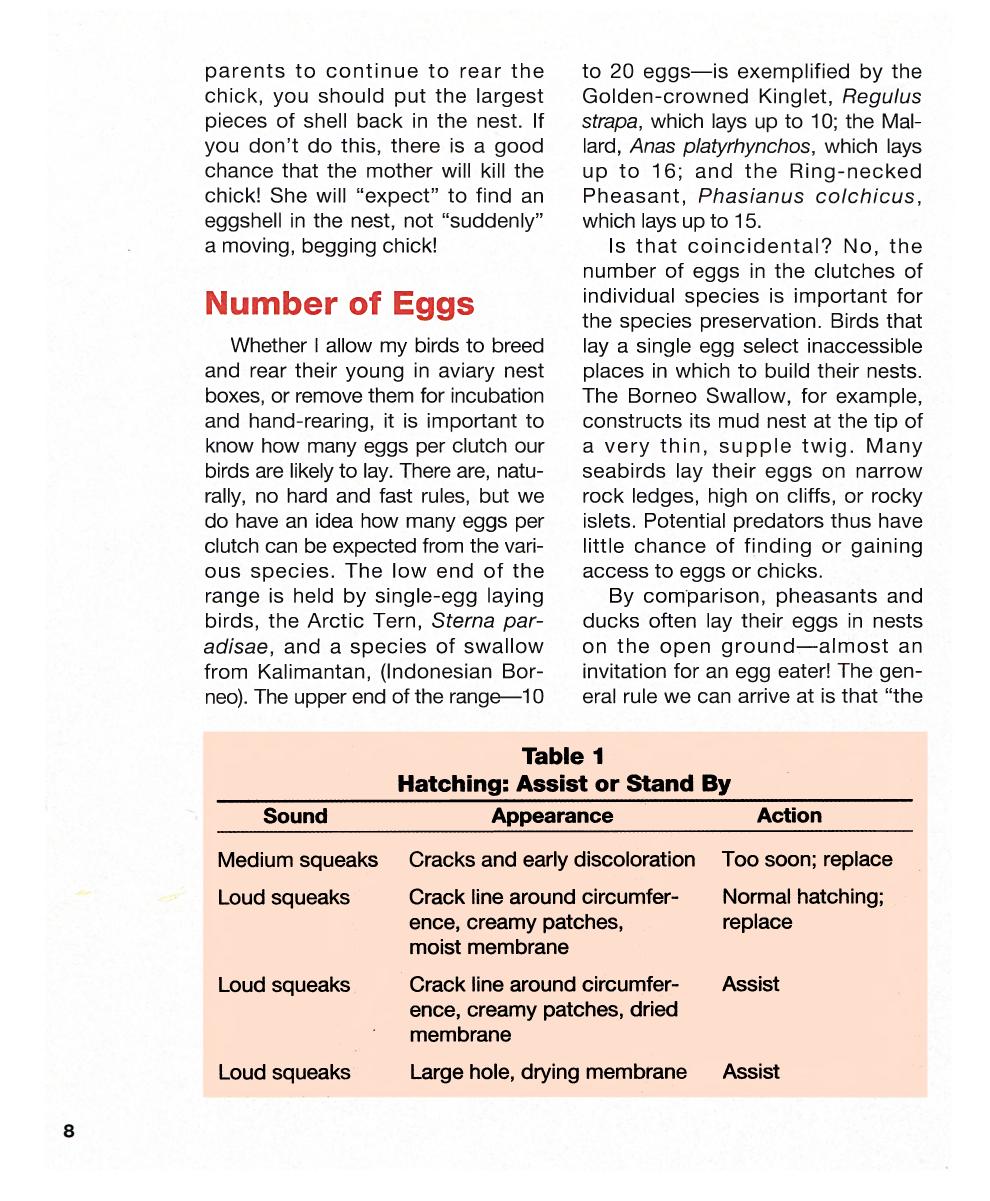 Hand Feeding And Raising Baby Birds Breeding Hand Feeding Care And Management