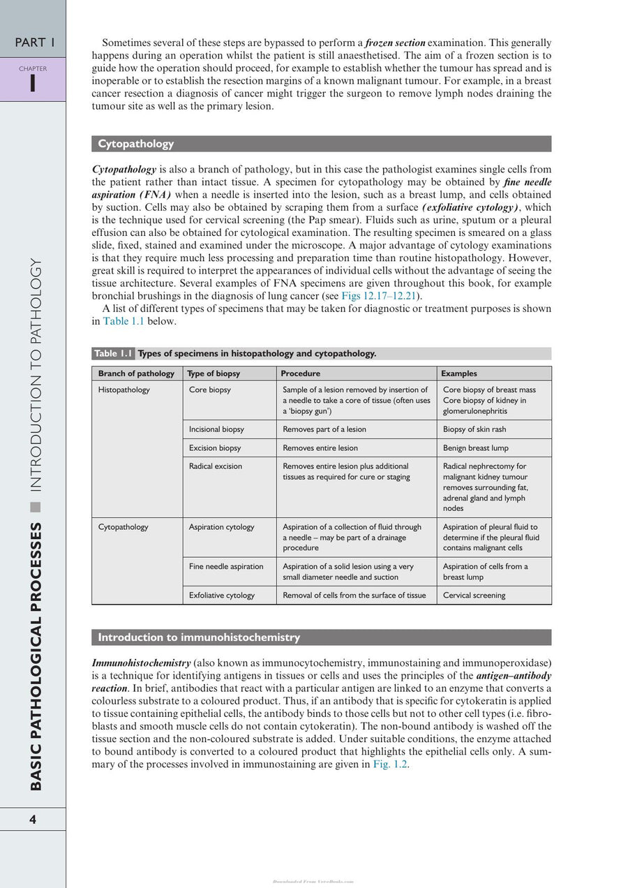 Preview page of Wheater’s Pathology: A Text, Atlas and Review of Histopathology, 6th Edition