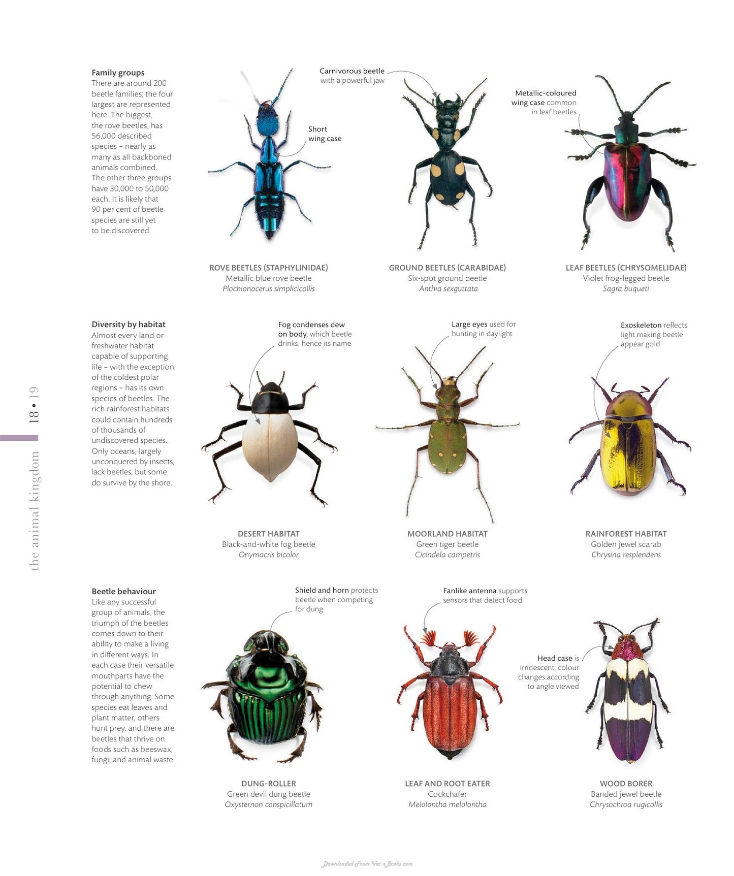 The Science Of Animals Inside Their Secret World
