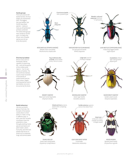 The Science of Animals Inside Their Secret World