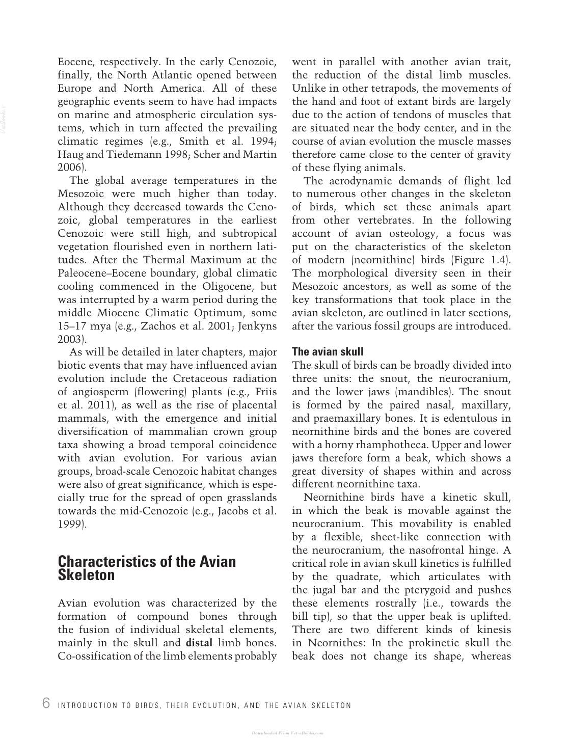 Avian Evolution The Fossil Record Of Birds And Its Paleobiological Significance