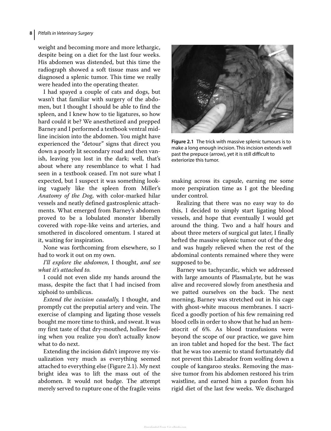 Pitfalls In Veterinary Surgery