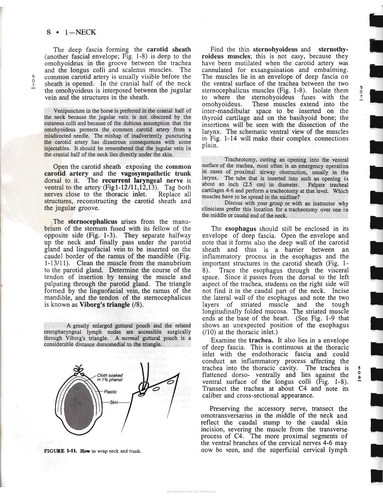 Look inside — page 18
