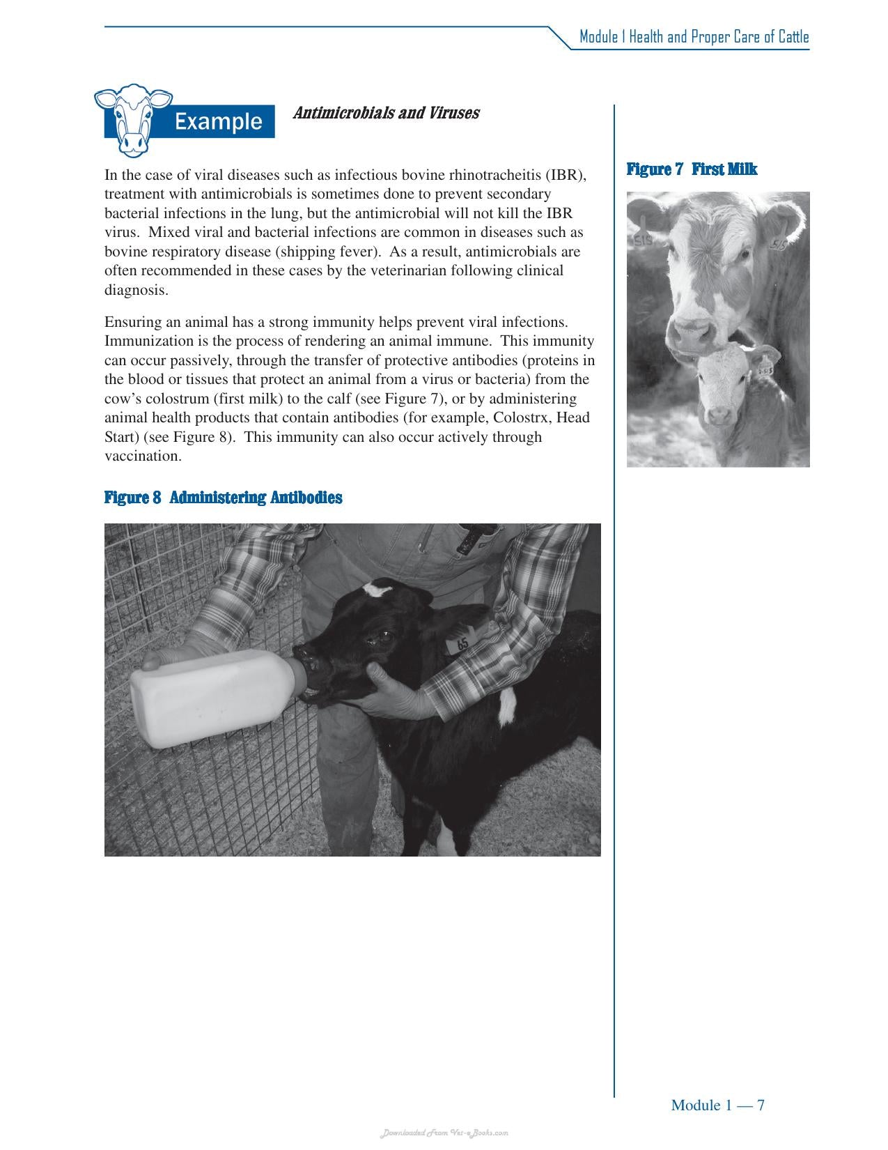 Cattle Medicine Responsible Use Course