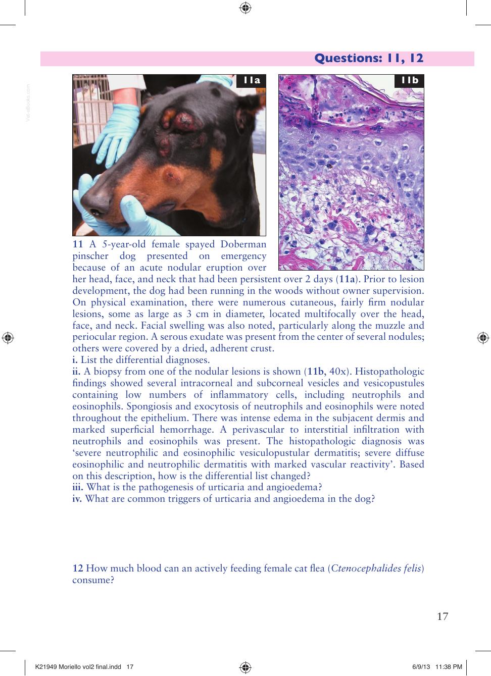 Small Animal Dermatology Advanced Cases Self Assessment Color Review