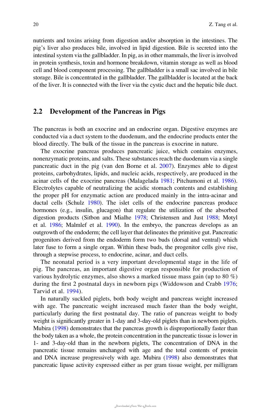 Nutritional And Physiological Functions Of Amino Acids In Pigs