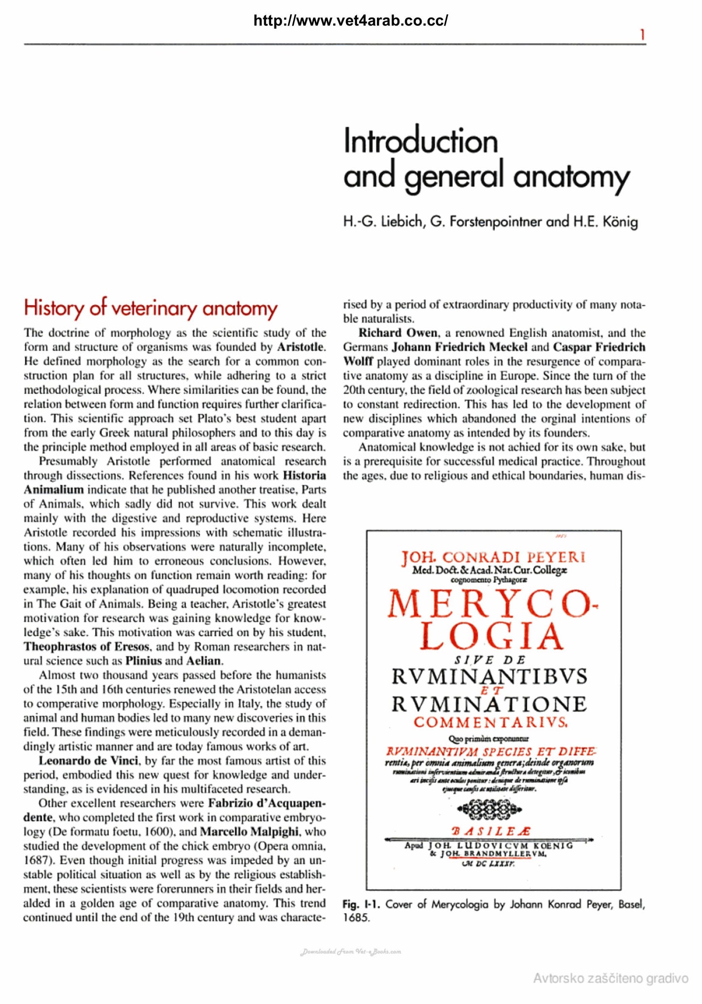 Veterinary Anatomy Of Domestic Mammals 3Rd Edition