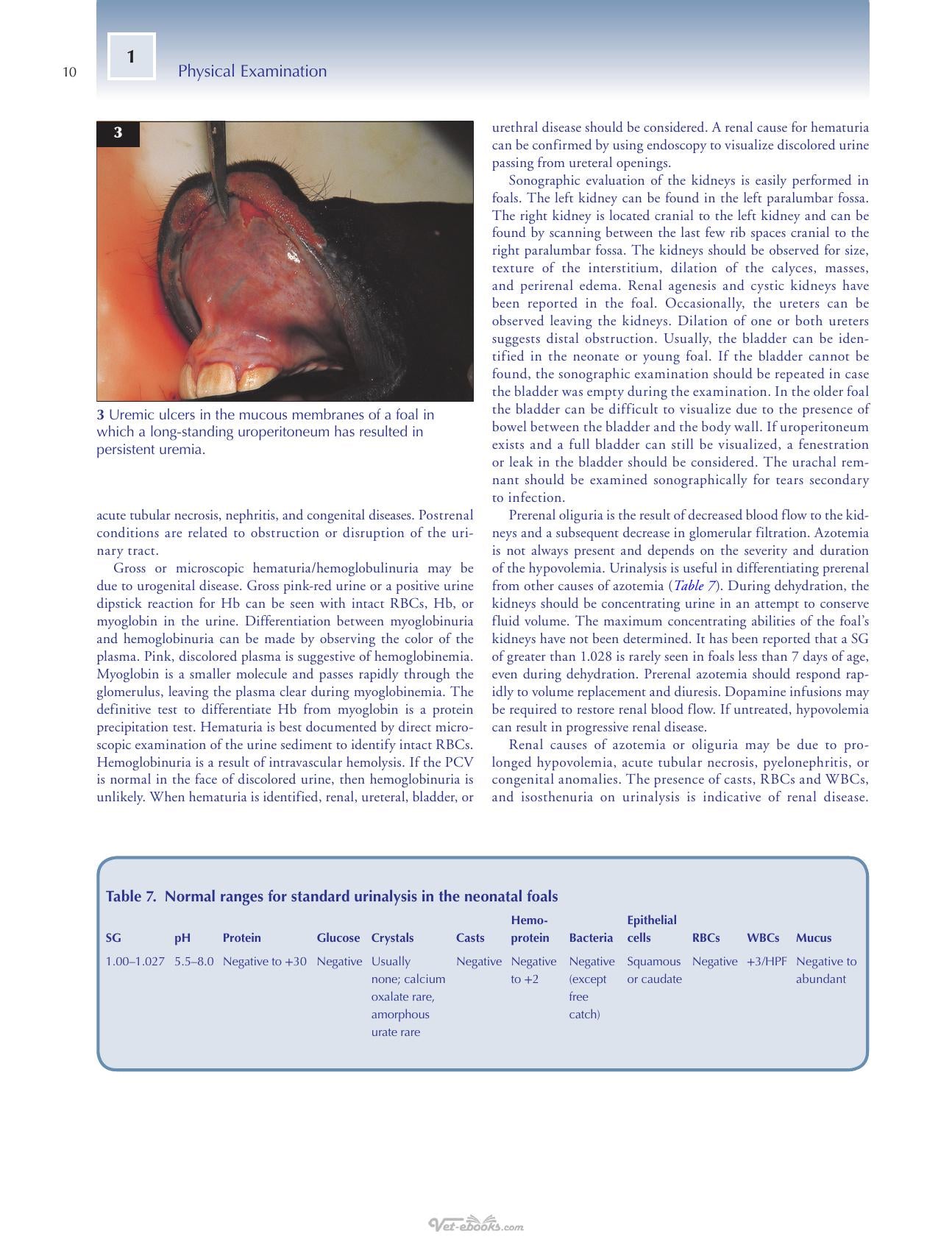 Equine Pediatric Medicine