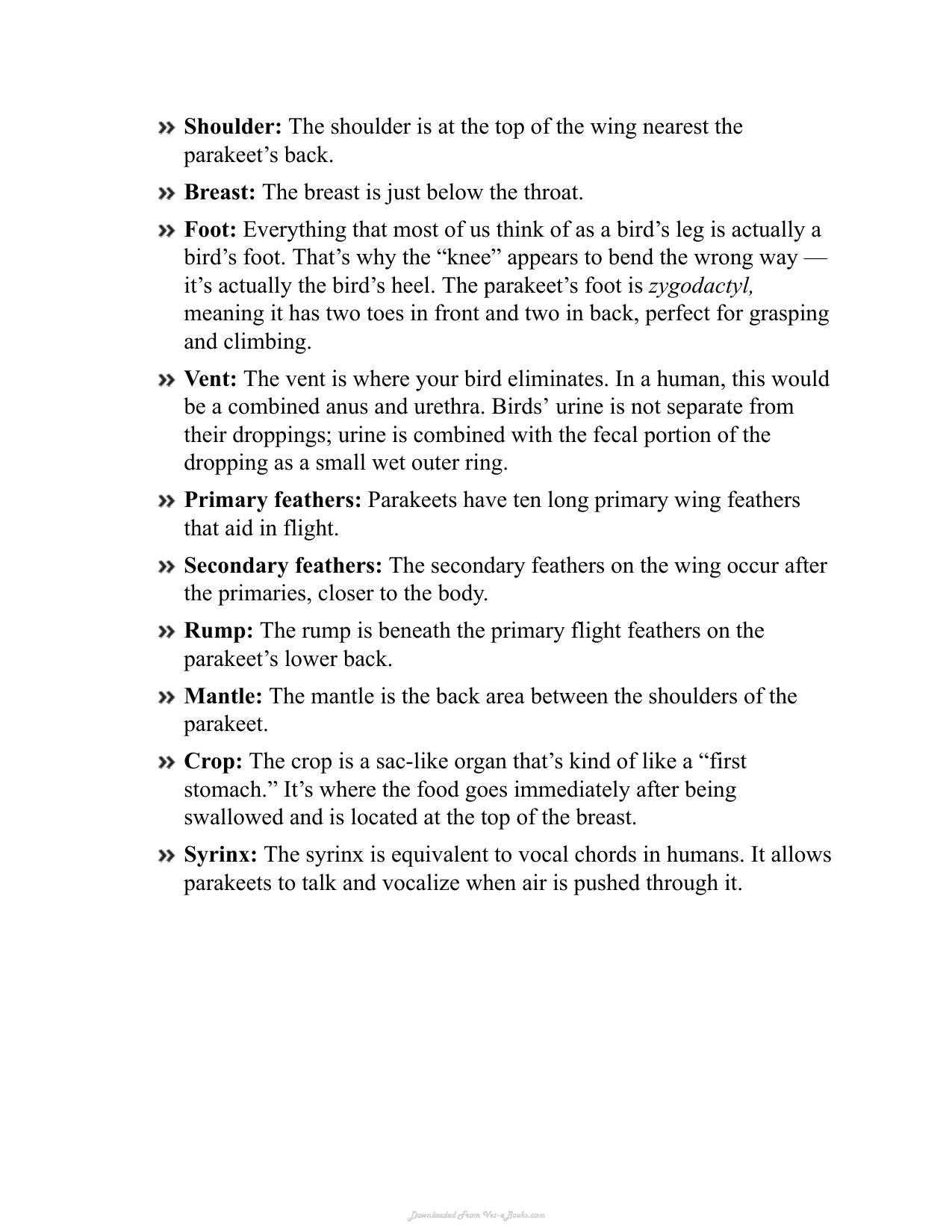 Parakeets For Dummies 2Nd Edition