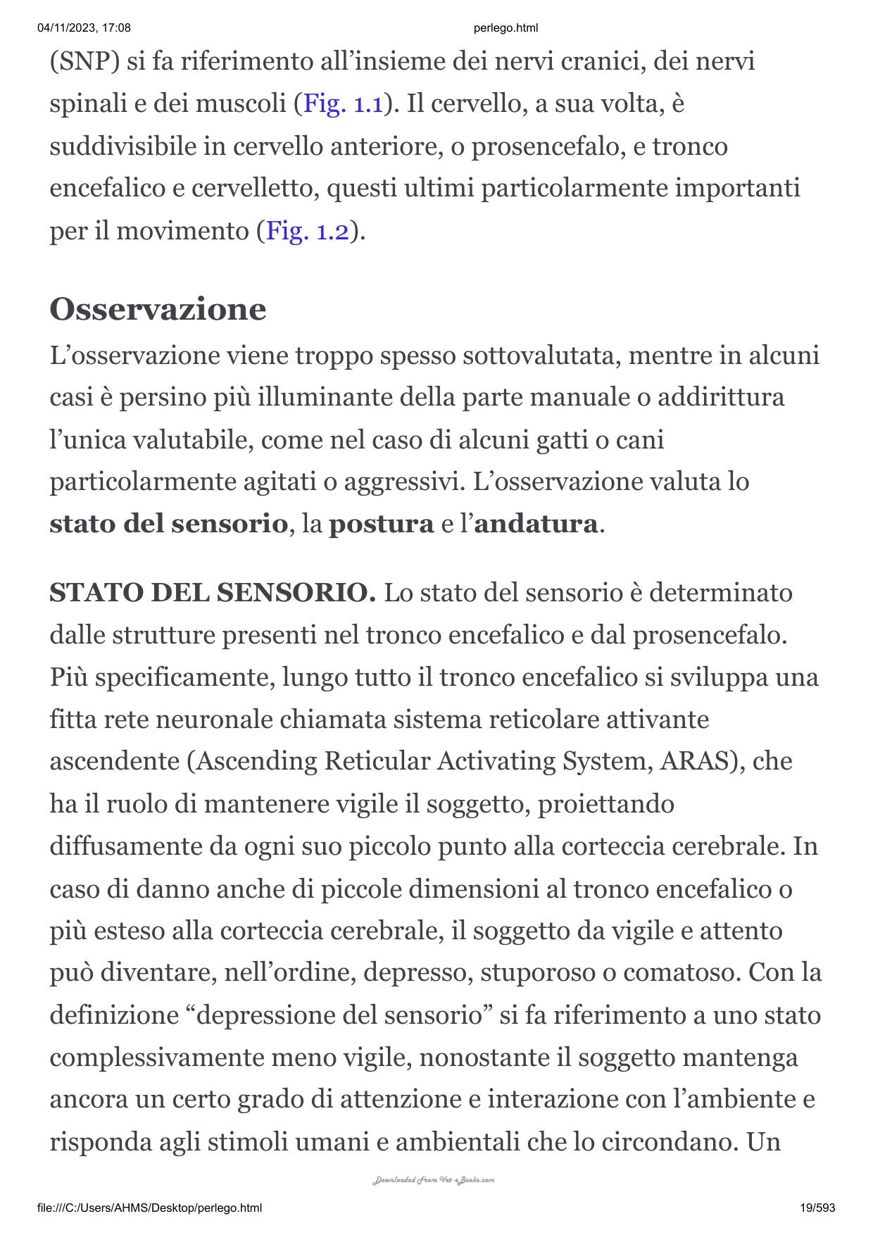 Patologie Spinali Del Cane E Del Gatto