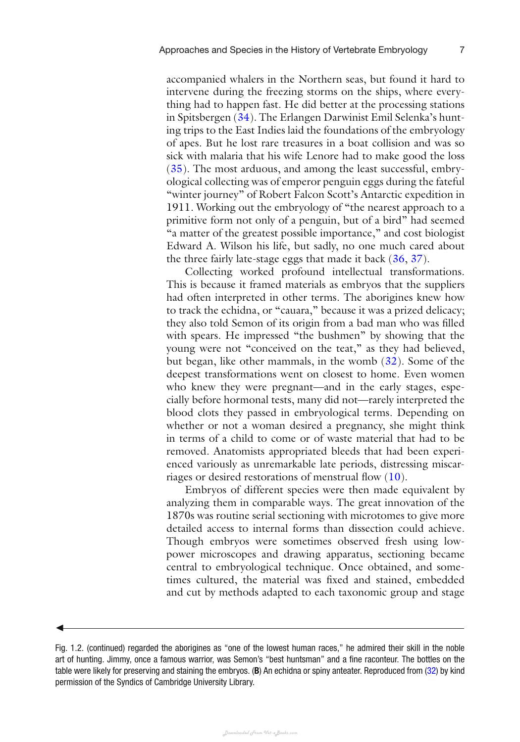 Vertebrate Embryogenesis Embryological Cellular And Genetic Methods