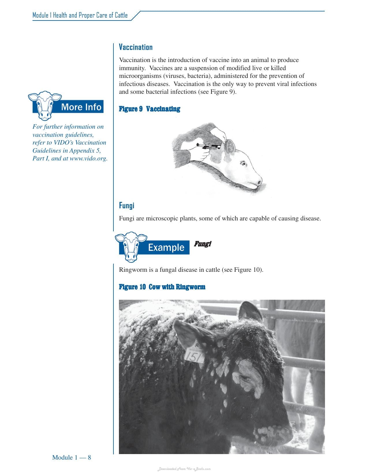 Cattle Medicine Responsible Use Course