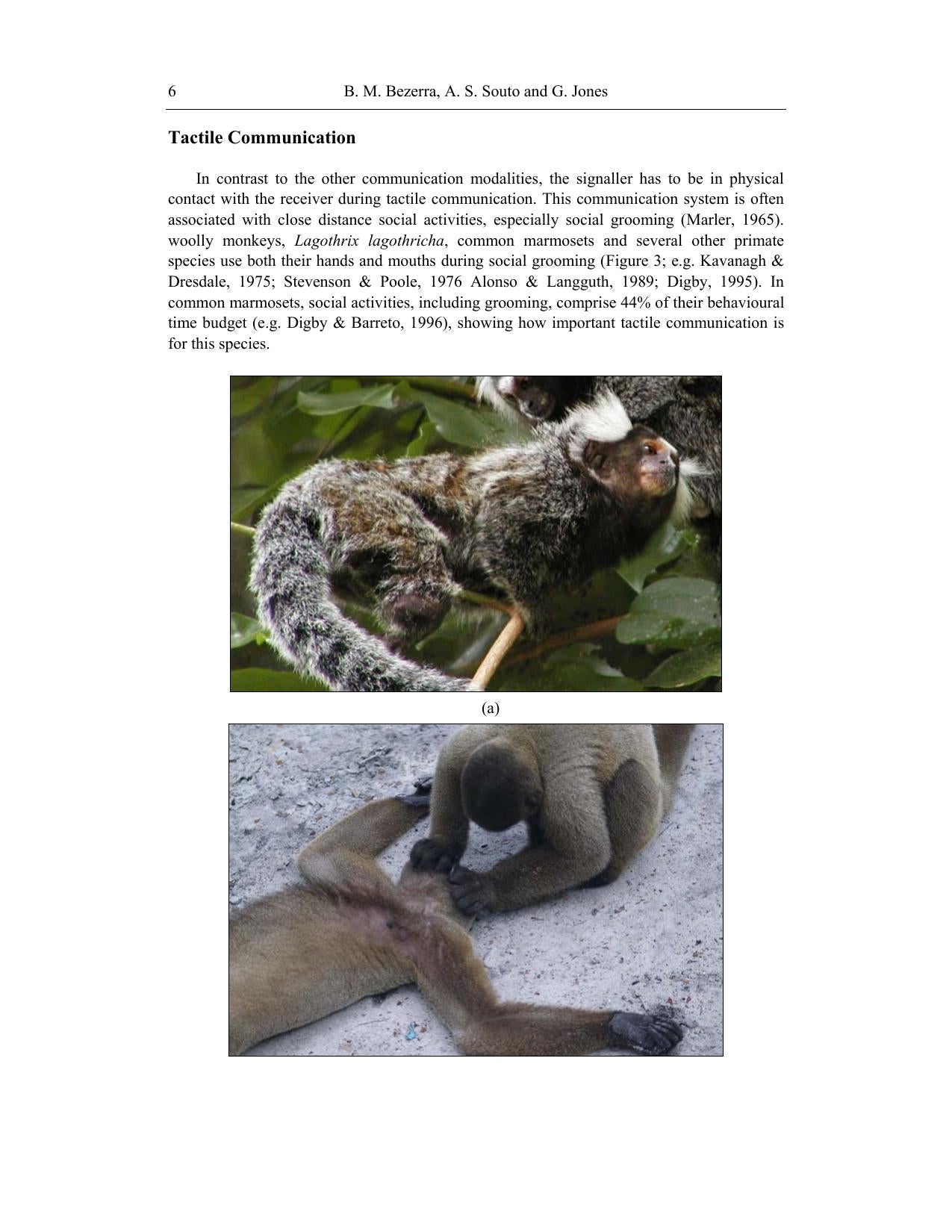 Primatology Theories Methods And Research