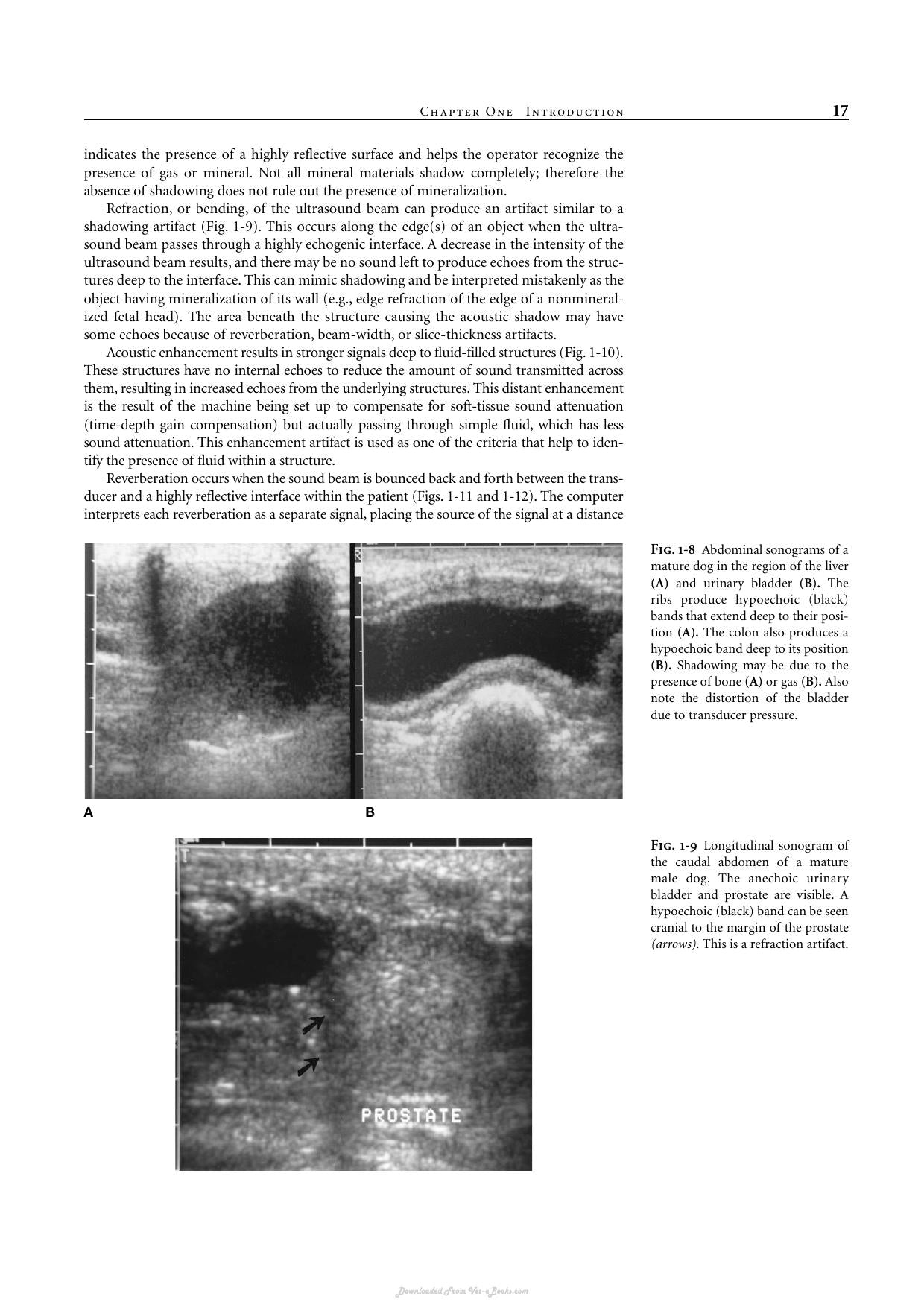 Look inside — page 19