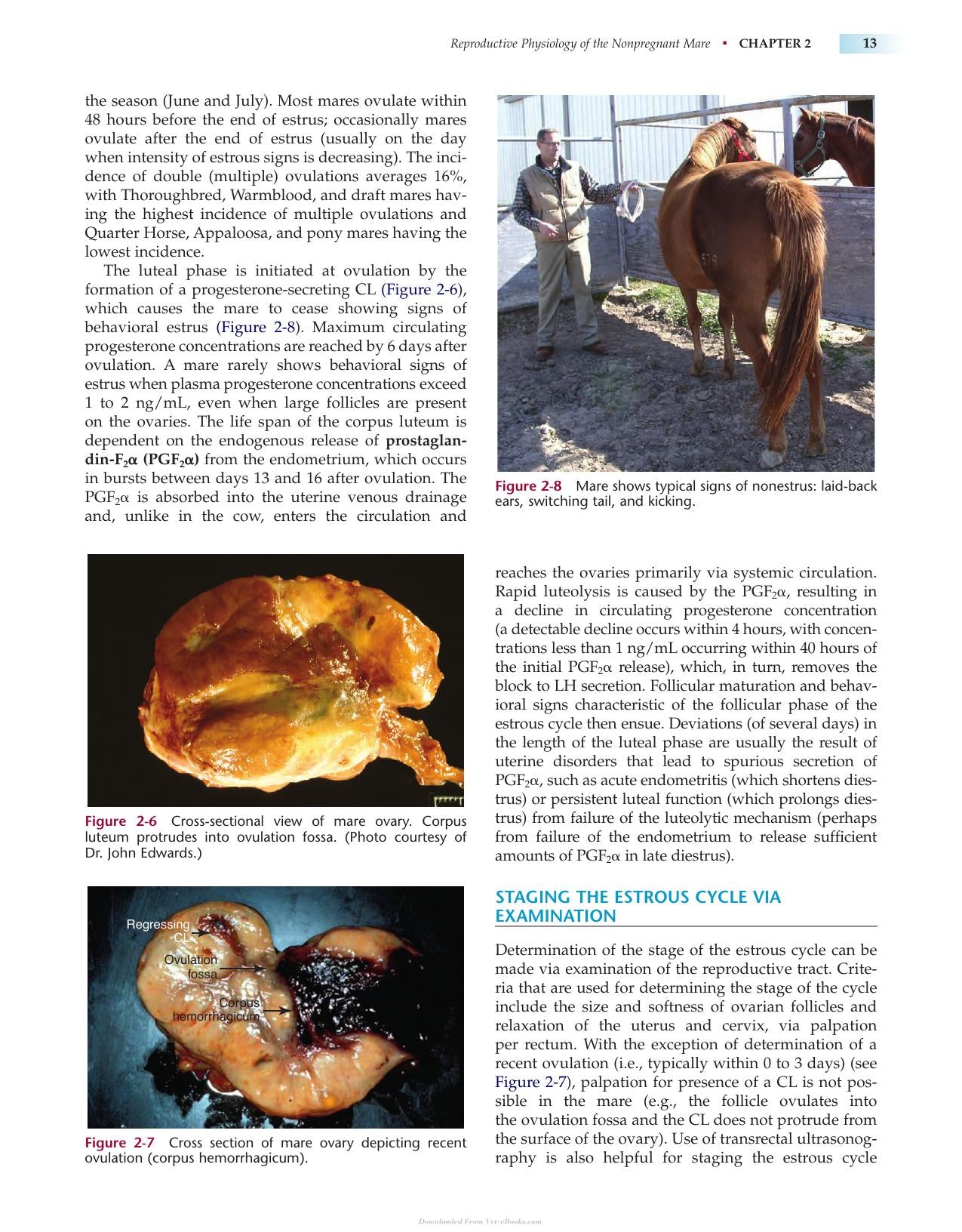 Manual Of Equine Reproduction 3Rd Edition