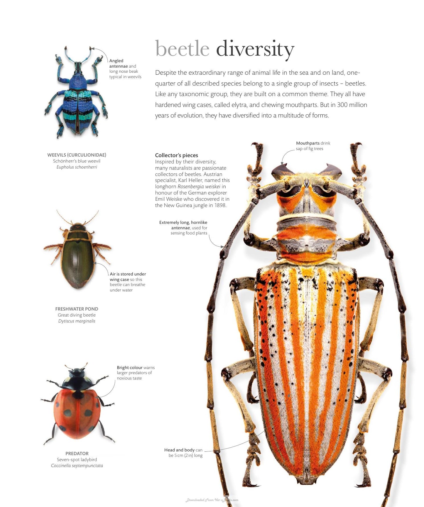 The Science Of Animals Inside Their Secret World