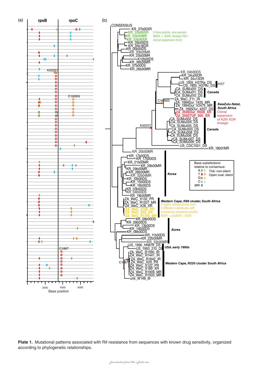 Tuberculosis Leprosy And Mycobacterial Diseases Of Man And Animals The Many Hosts Of Mycobacteria