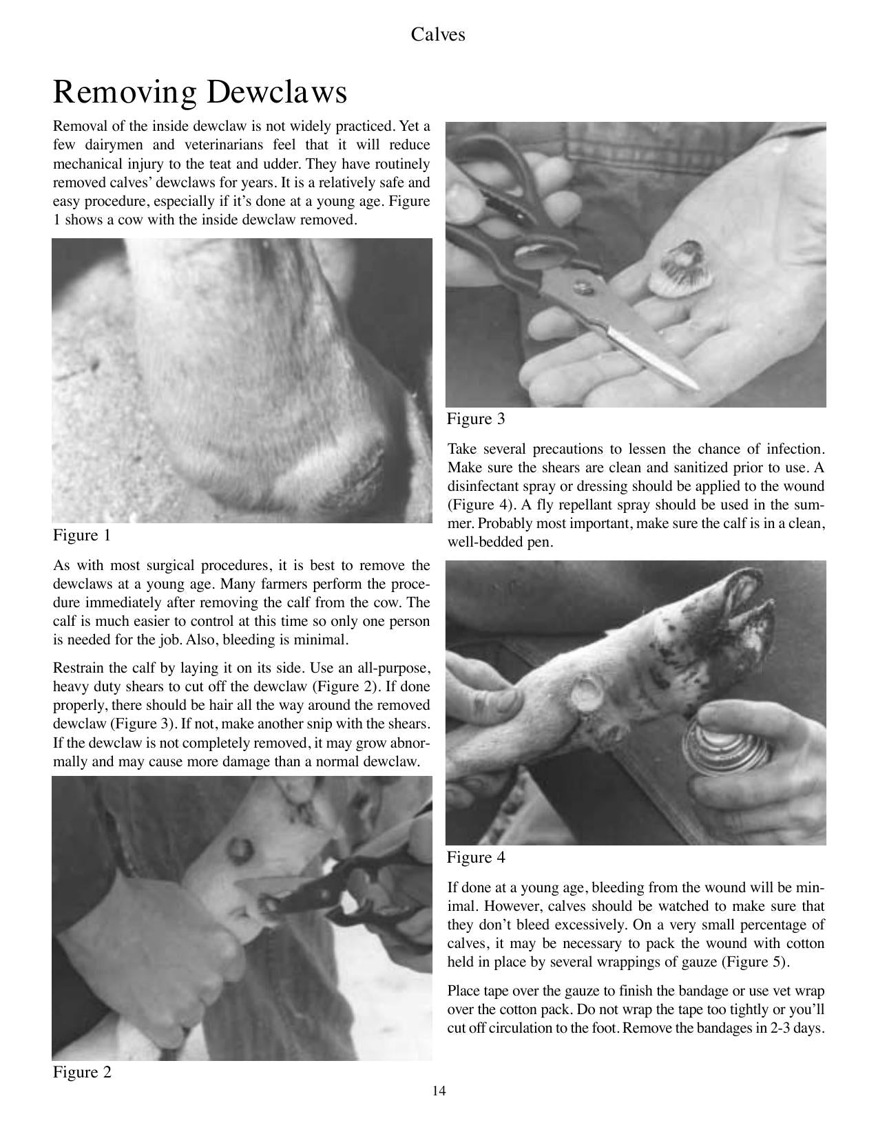 Look inside — page 19