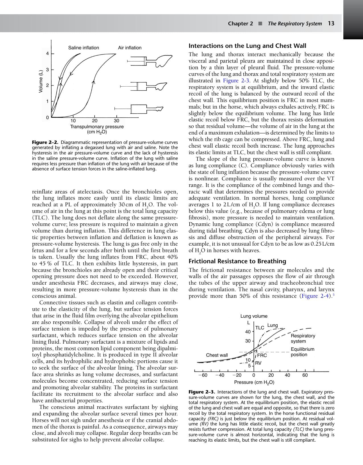 Equine Anesthesia Monitoring And Emergency Therapy