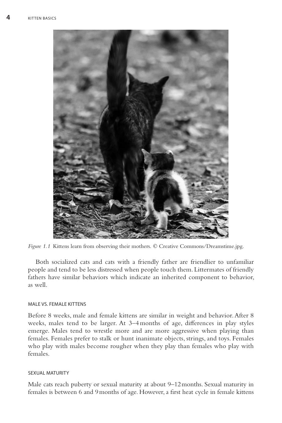 Look inside — page 19