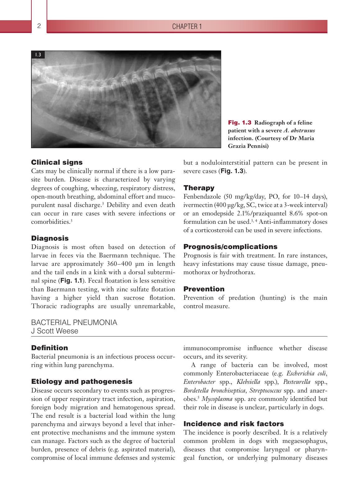Infectious Diseases Of The Dog And Cat A Color Handbook