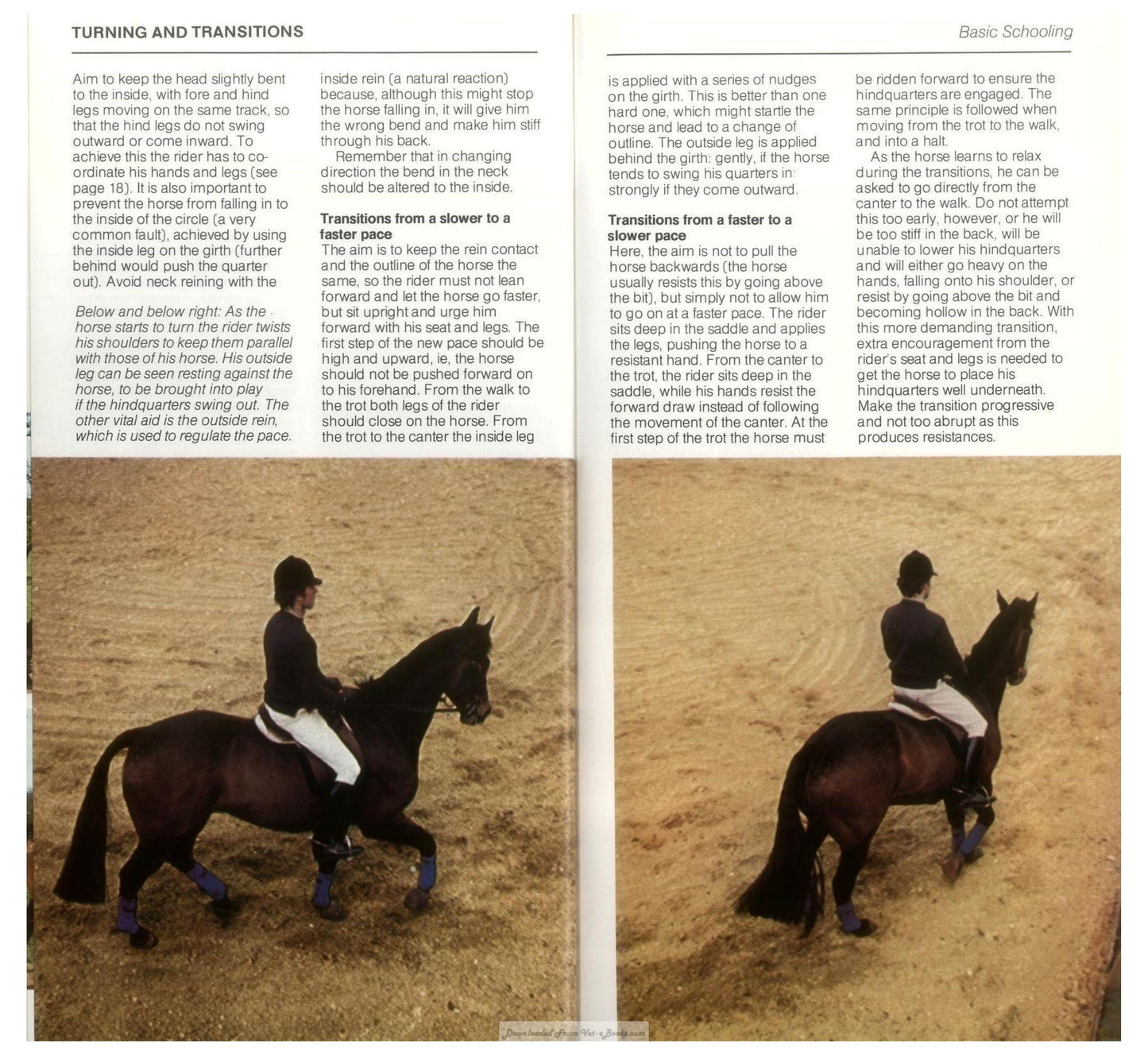 Young Riders Guide To Horse And Pony Care
