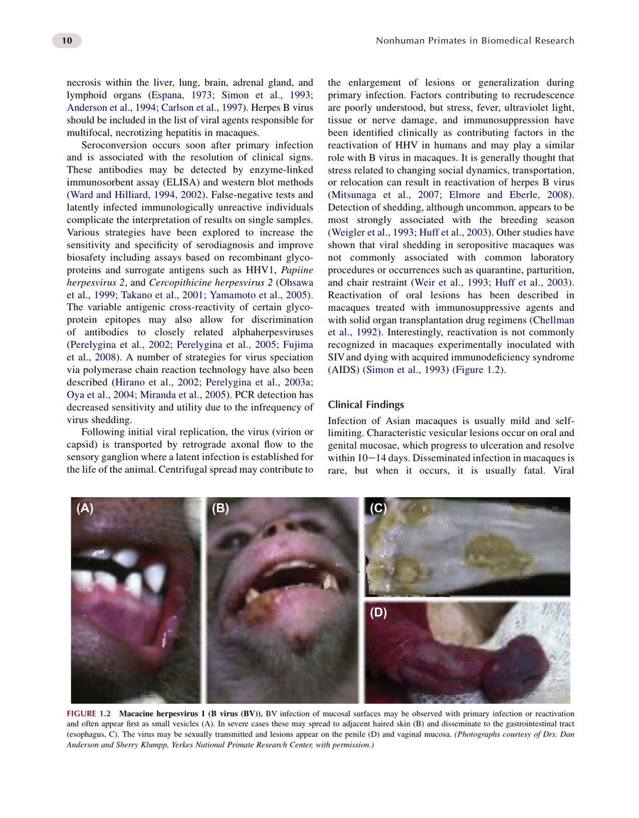 Preview page of Nonhuman Primates in Biomedical Research Volume 2 Diseases 2nd Edition
