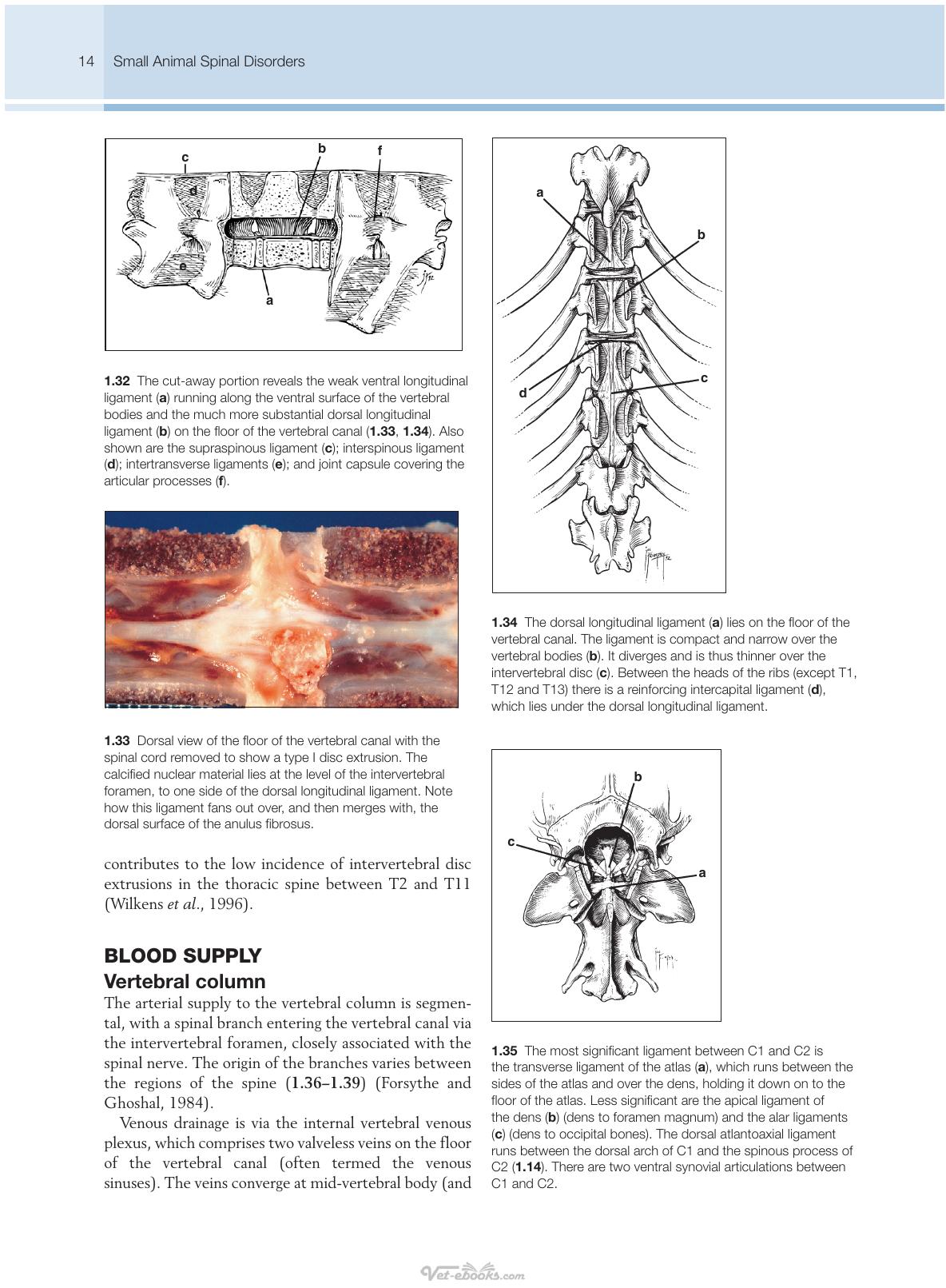 Small Animal Spinal Disorders Diagnosis And Surgery 2Nd Edition