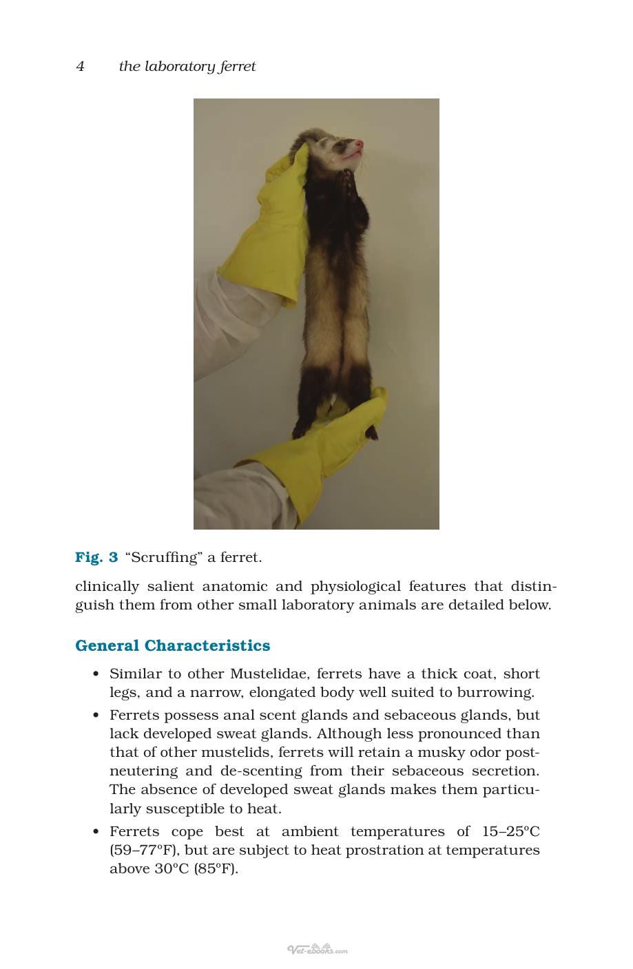 The Laboratory Ferret