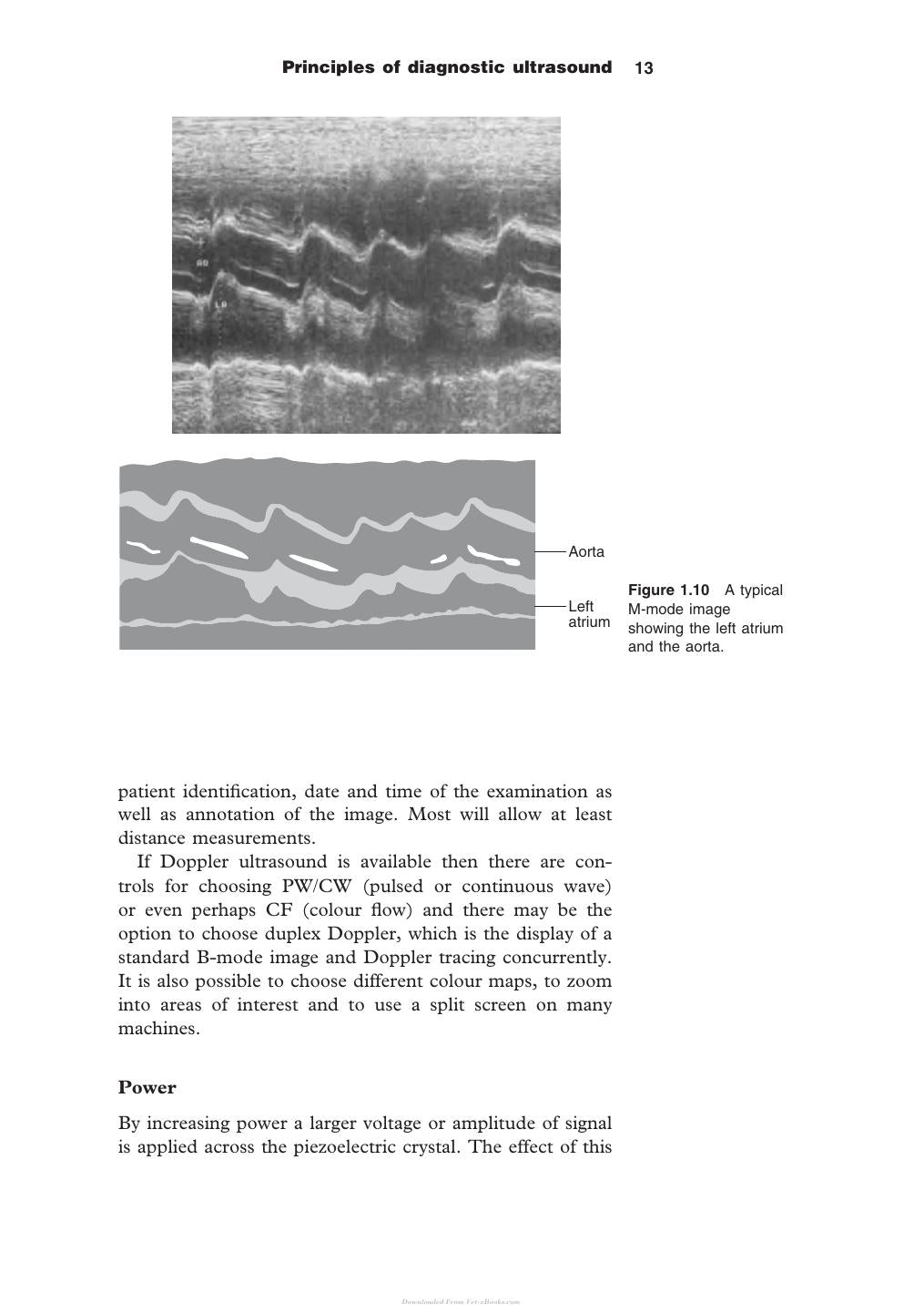 Diagnostic Ultrasound In Small Animal Practice