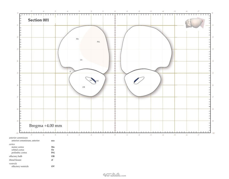 Preview page of Athymic Nude Rat Brain Atlas