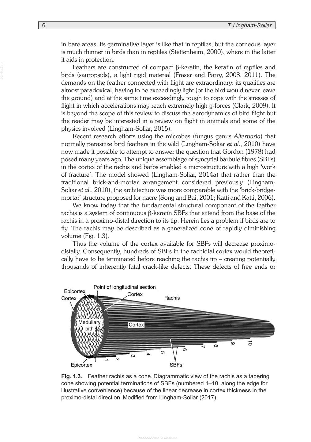 Poultry Feathers And Skin The Poultry Integument In Health And Welfare