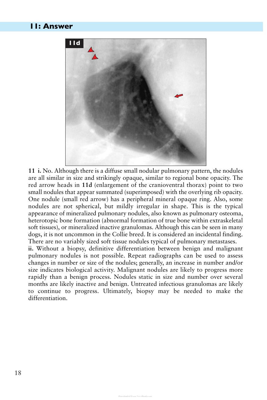 Small Animal Cardiopulmonary Medicine Self Assessment Color Review