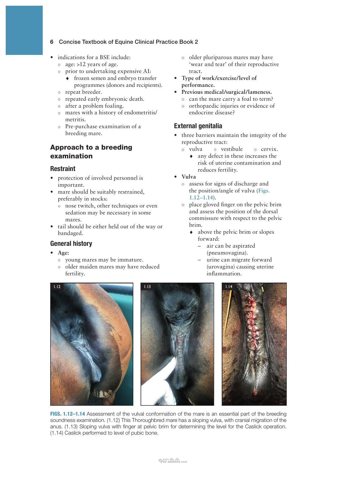 Concise Textbook Of Equine Clinical Practice Book 2 Reproduction And The Foal