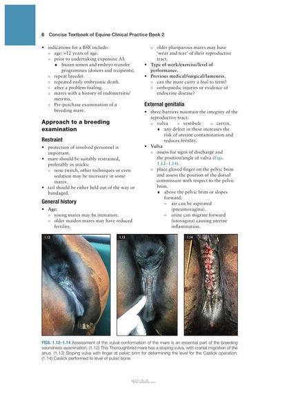 Concise Textbook of Equine Clinical Practice Book 2 Reproduction and the Foal
