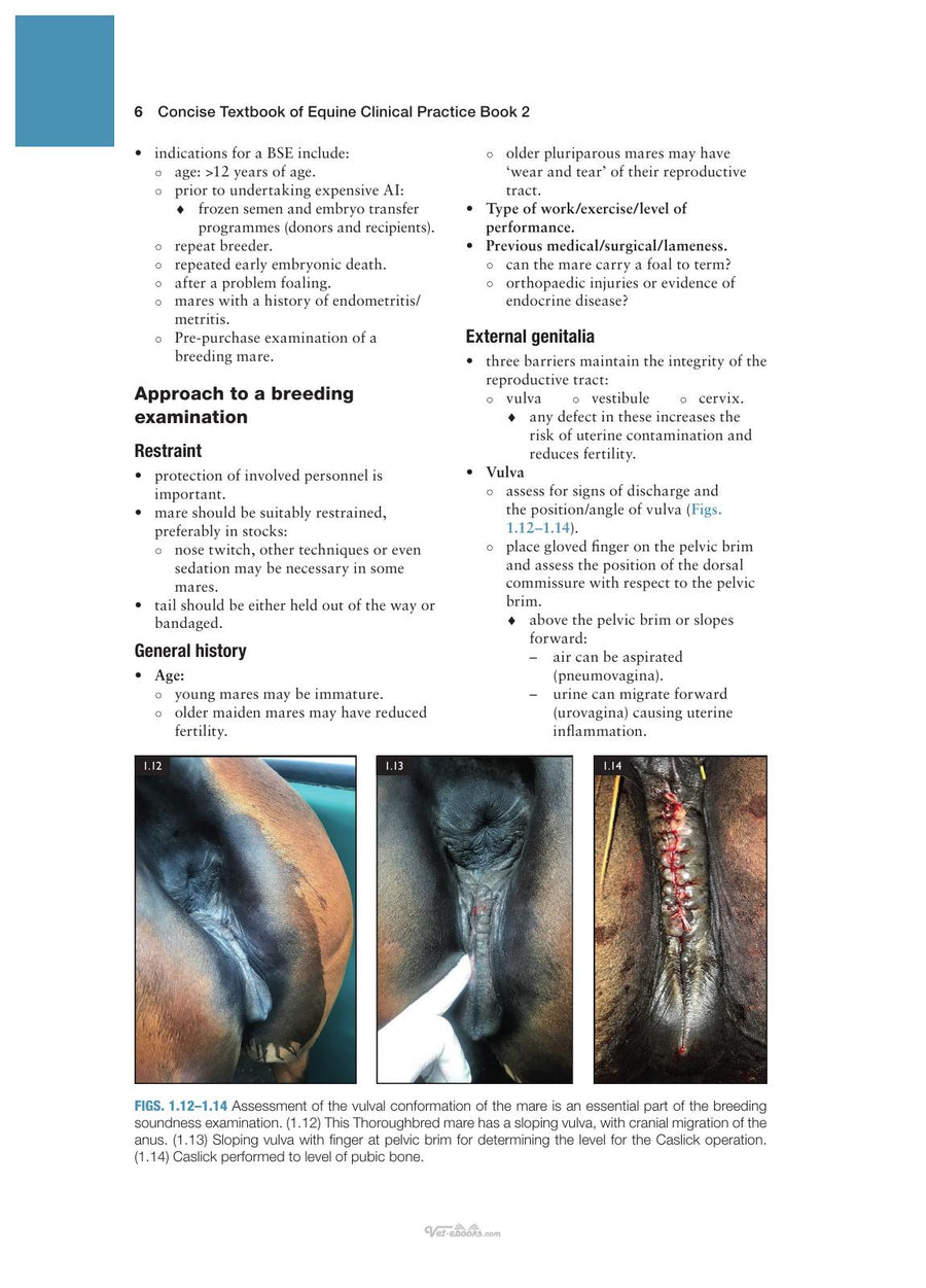 Preview page of Concise Textbook of Equine Clinical Practice Book 2 Reproduction and the Foal