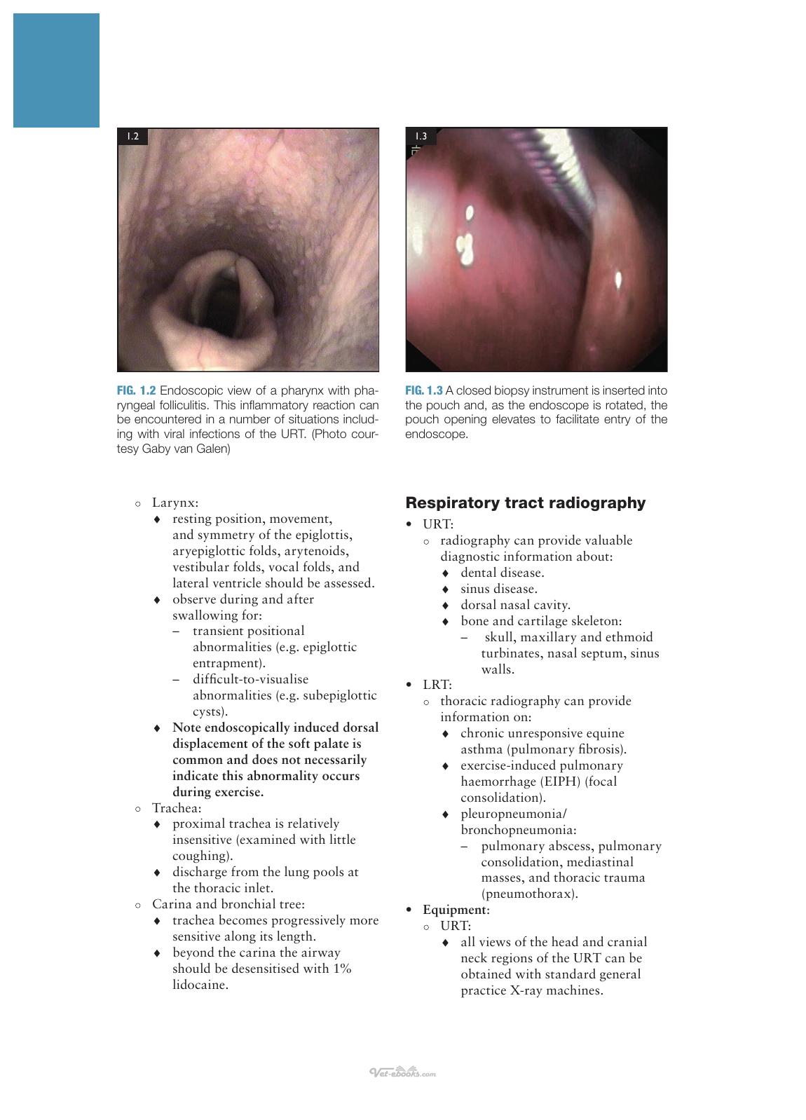 Concise Textbook Of Equine Clinical Practice Book 3 Respiratory And Gastrointestinal Diseases