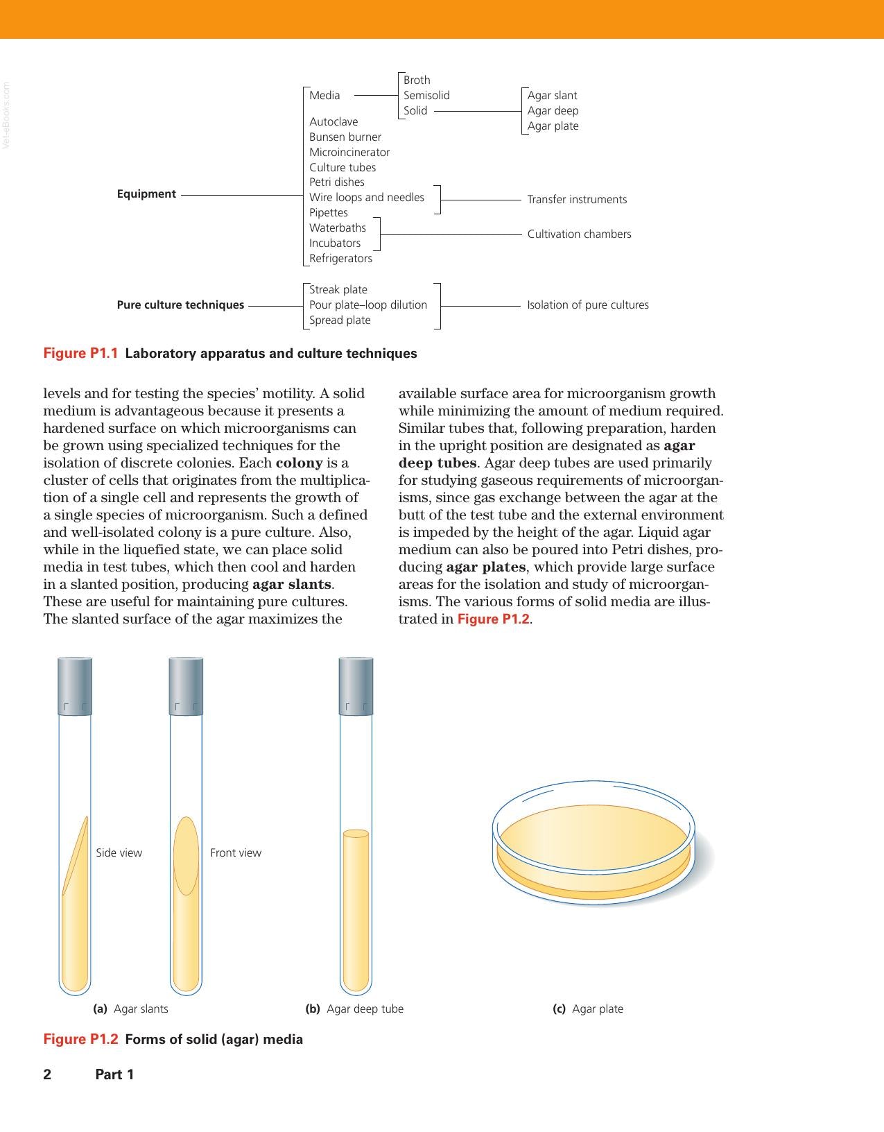 Microbiology A Laboratory Manual 12Th Edition