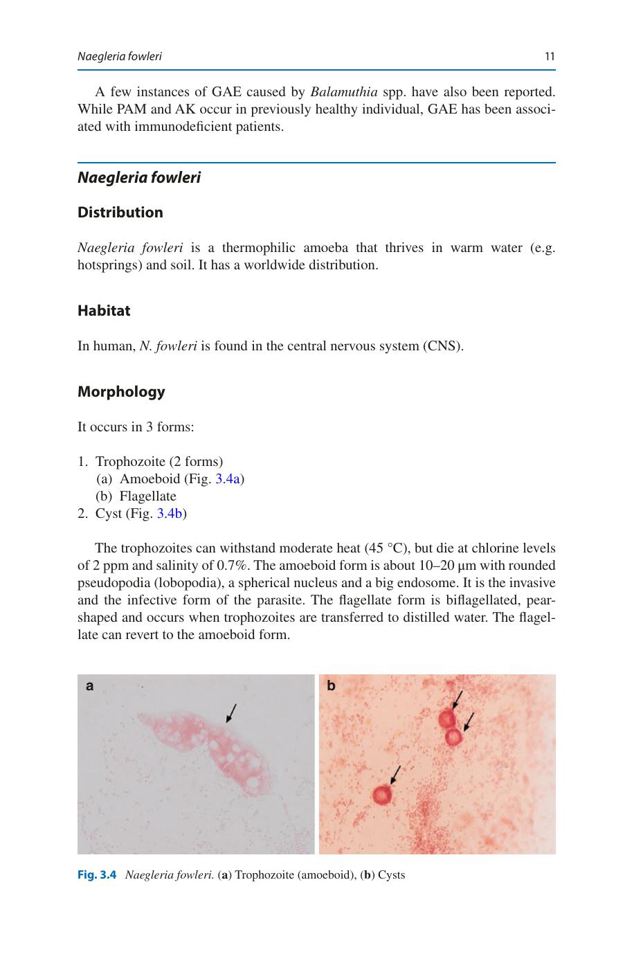 Medical Parasitology A Textbook